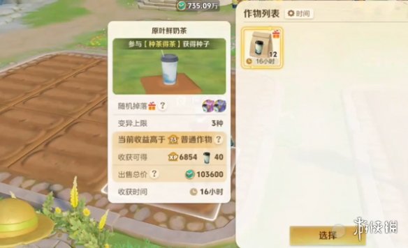 网5
